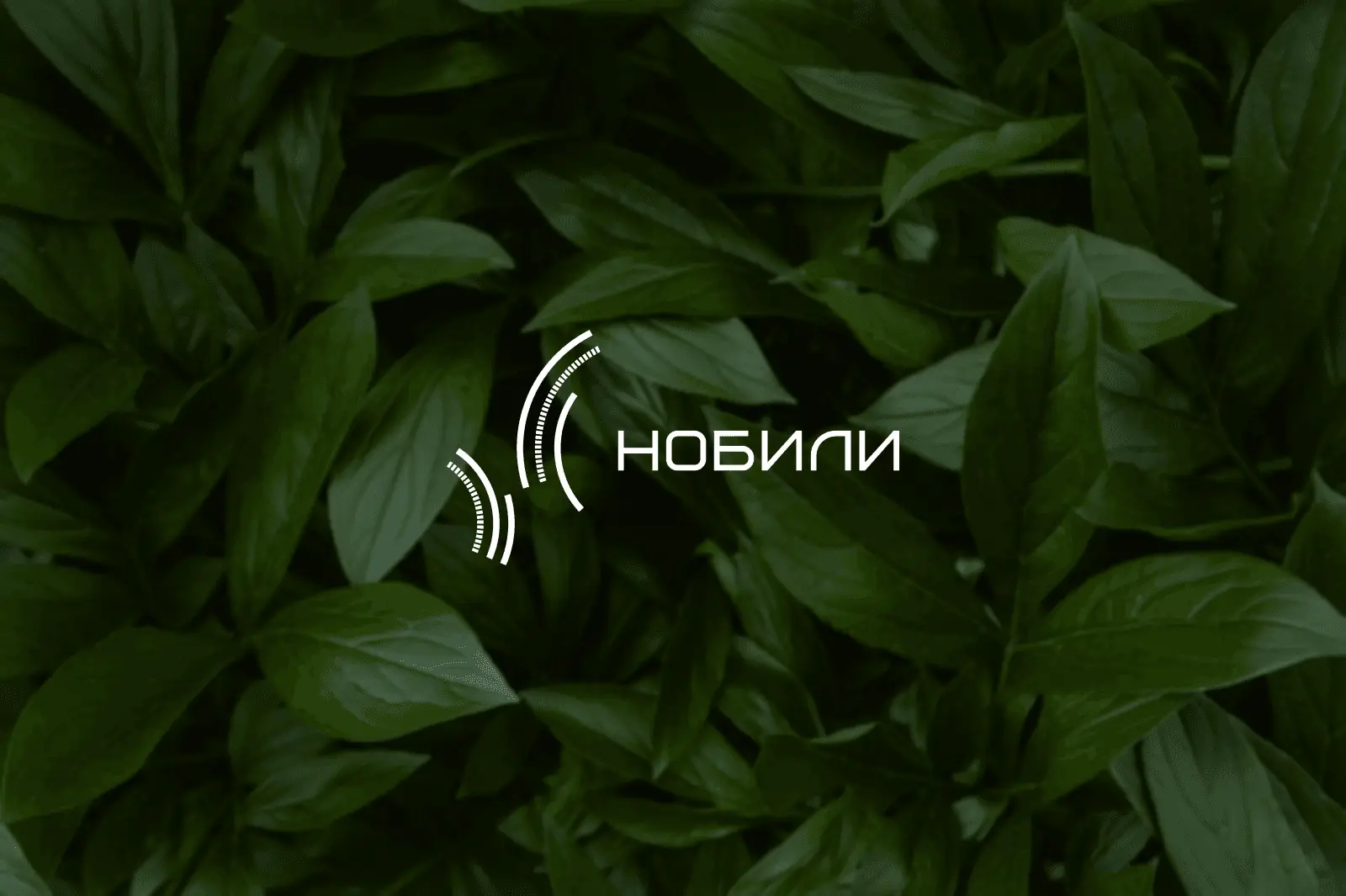 Нобили